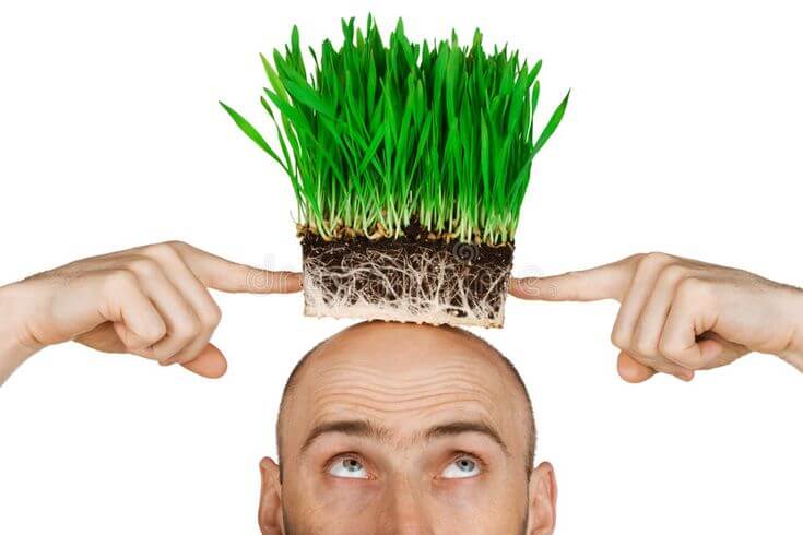 How to Avoid the Dreaded "Grass Head" (Doll Hair)