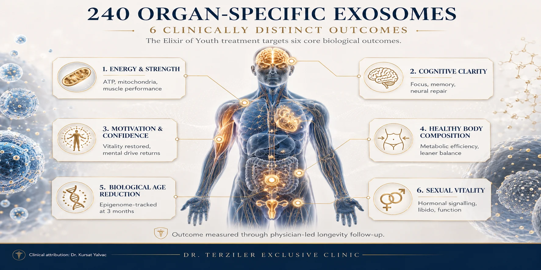 Diagram showing 5 organ systems targeted by 240 organ-specific exosomes in the Elixir of Youth IV protocol at Dr. Terziler Exclusive Clinic, Istanbul