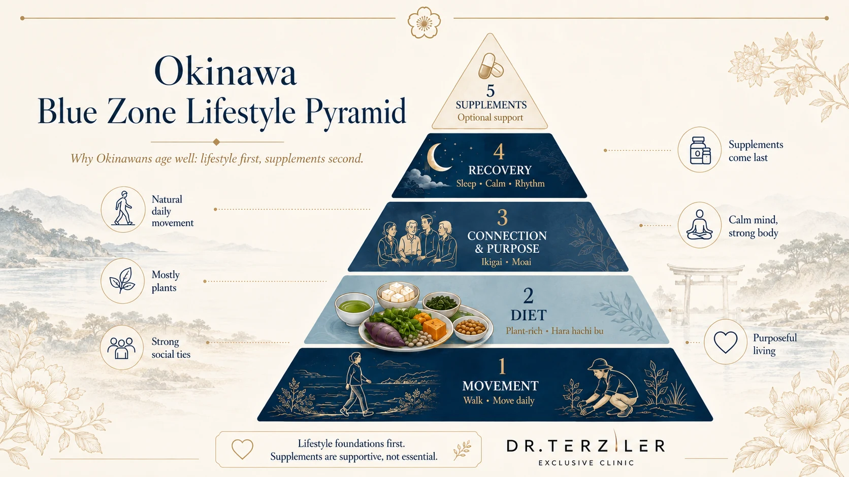 Okinawa Blue Zone lifestyle pyramid infographic showing the longevity habits linked to healthy aging, including plant-rich diet, daily movement, social connection, ikigai purpose, recovery, sleep, stress balance, and supplements as optional support.