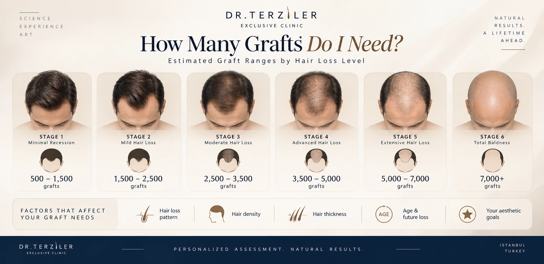 Hair transplant graft estimate infographic showing how many grafts may be needed by hair loss stage, from 500&ndash;1,500 grafts for mild recession to 7,000+ grafts for advanced hair loss, with key factors including hair density, thickness, age and future hair loss, by Dr. Terziler Exclusive Clinic.